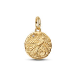 Pandora ME Swallow Medallion hela, keltakullattu, 764082C01