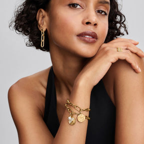 Pandora ME Swallow Medallion hela, keltakullattu, 764082C01