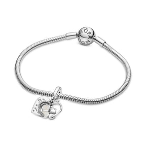 Pandora Moments Cats & Hearts hela, hopea, 799546C01
