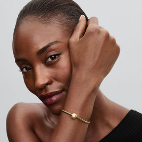 Pandora Moments Golden hela, keltakullattu, 763781C01