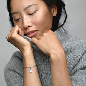 Pandora Moments Good Luck Charms hela, hopea, 792089CZ