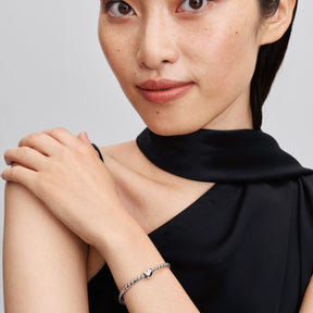 Pandora Moments Heart mini hela, hopea, 793998C00