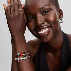 Pandora Moments Heart mini hela, hopea, 793998C00