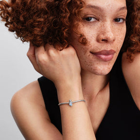 Pandora Moments Seal hela, hopea, 794146C01