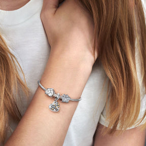 Pandora Moments Sparkling Paw Print hela, hopea, 791714CZ