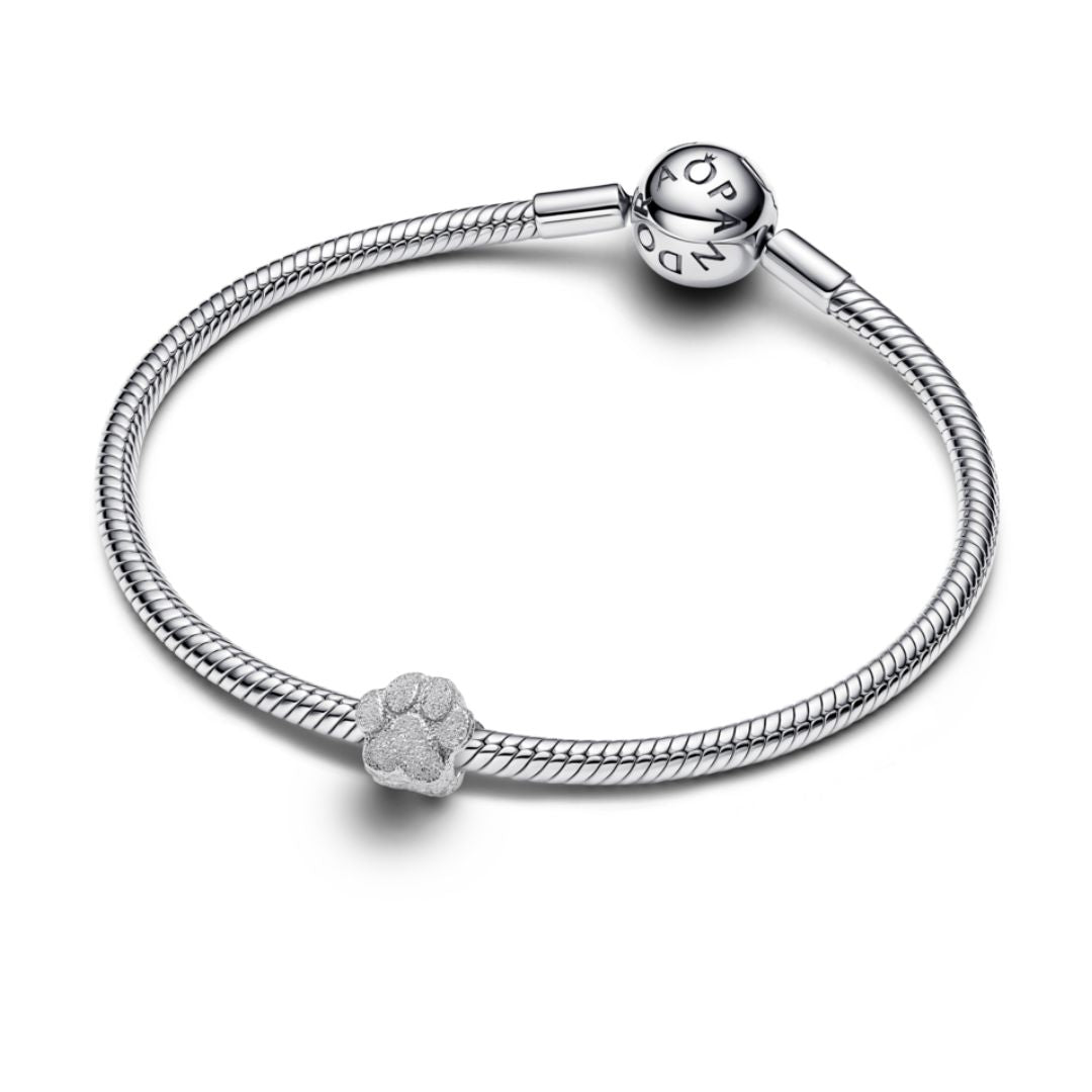 Pandora Moments Textured Paw mini hela, hopea, 794043C00