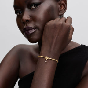 Pandora Moments Wrapped Heart hela, keltakullattu, 764138C01