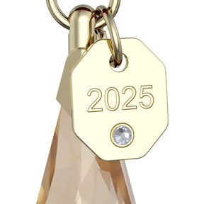 Swarovski Annual Edition Ornament 2025, kullanvärinen kristalli, joulukoriste 5701826