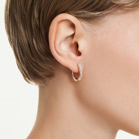 Swarovski Dextera rengaskorvakorut, S-koko, rosekullattu ja kirkkaat kristallit, 5743798