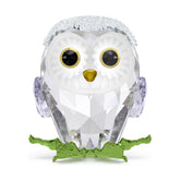 Swarovski Idyllia Baby Owl, pöllö, kristallifiguuri 5684483