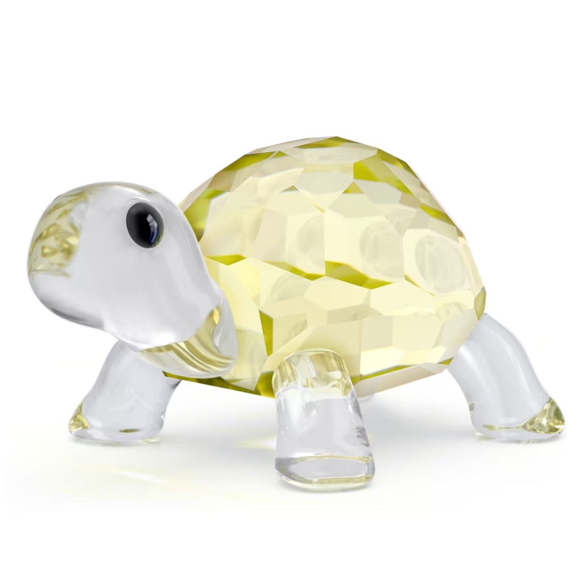 Swarovski Idyllia Baby Tortoise -kristallikoriste 5721550